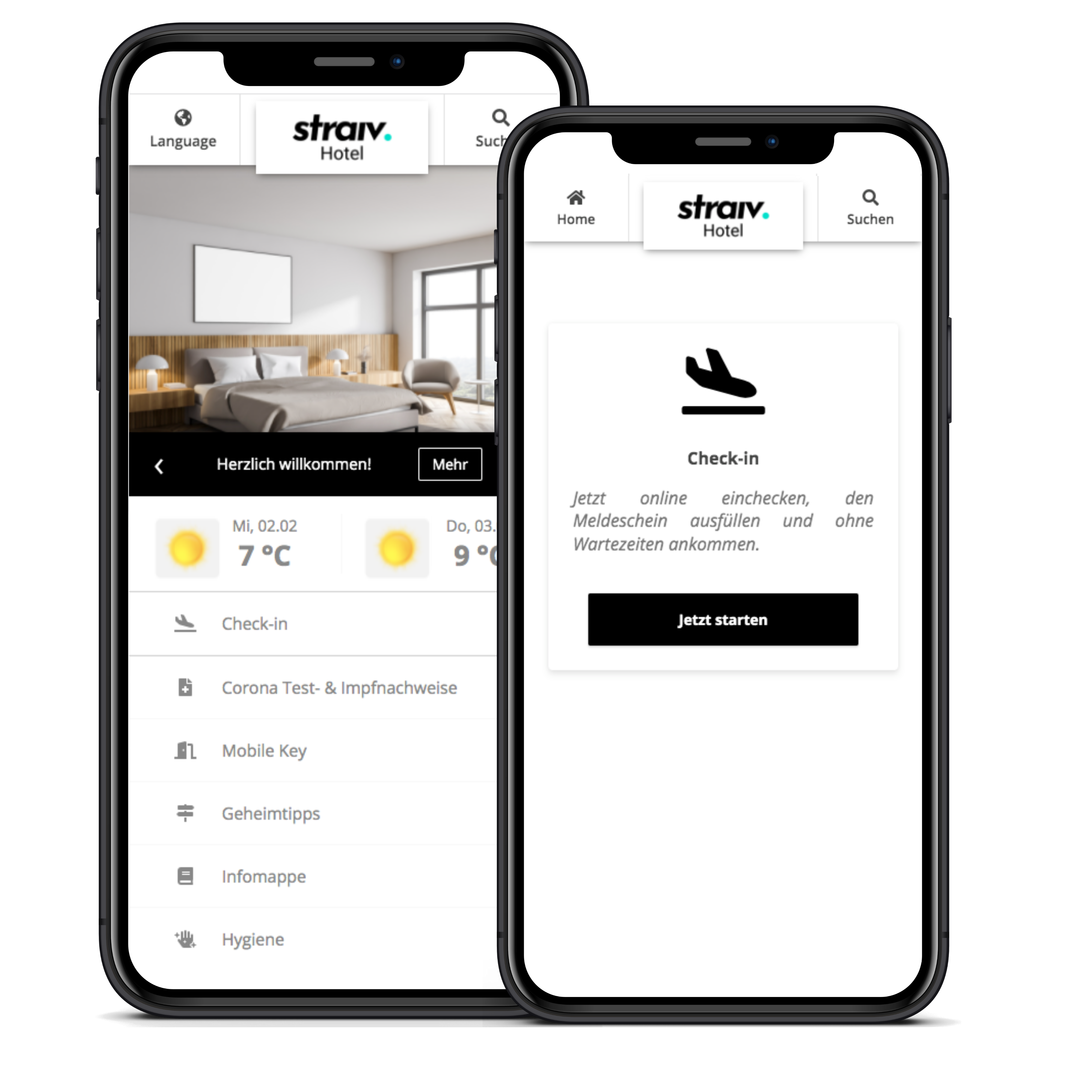 straiv Digitale Guest Journey transparent